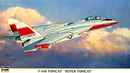 ハセガワ F-14B トムキャット スーパー トムキャット 1/72 飛行機 限定