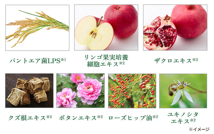 イミニ 公式サイトイミニ リペアリキッドクレンズ 145mL(クレンジング