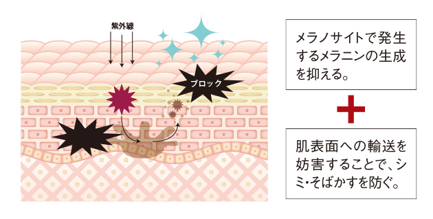 イミニ 公式サイトイミニ 薬用リンクルホワイト 20g(多機能スキンケア