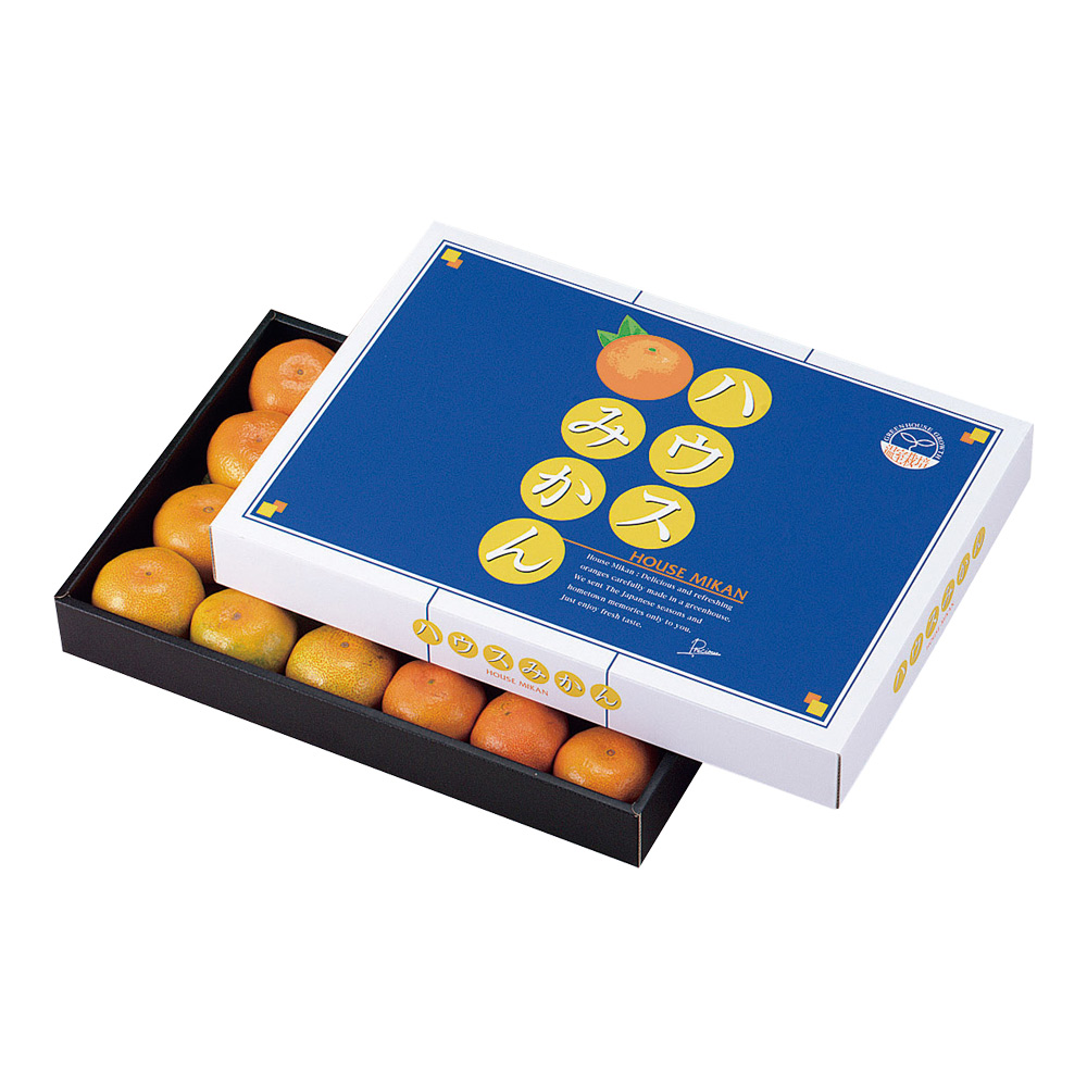 ギフト箱 ハウスみかん（大） 390×270×50mm「50」 | ダンボール箱