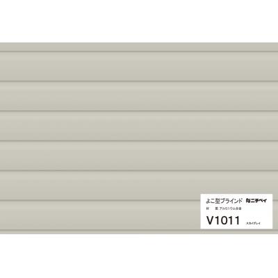 V1004 ダークグレイ（ツヤ消し） | セレーノグランツ35 | ニチベイ