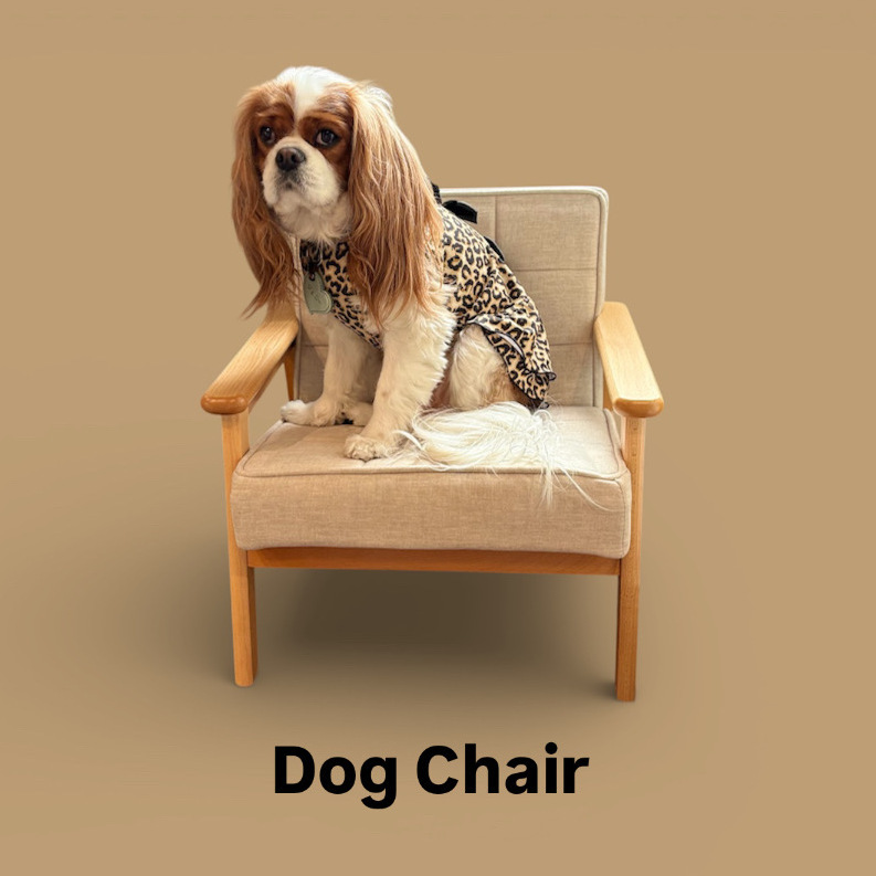 Dog Chair - INU－CLOSET