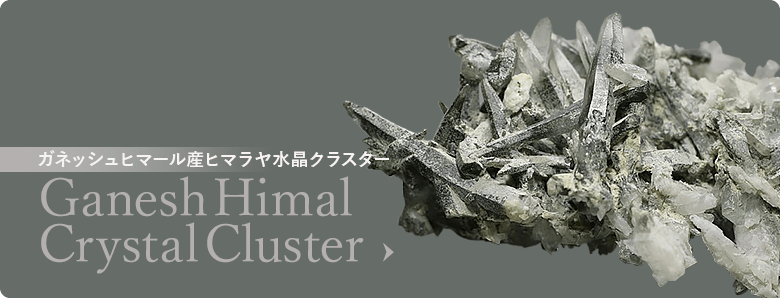 浄化に困ったらガネッシュヒマール（ガネーシュヒマール）産