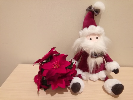 X'mas限定ジェリーキャット♪ | INOBUN（イノブン） 草津Familleのブログ