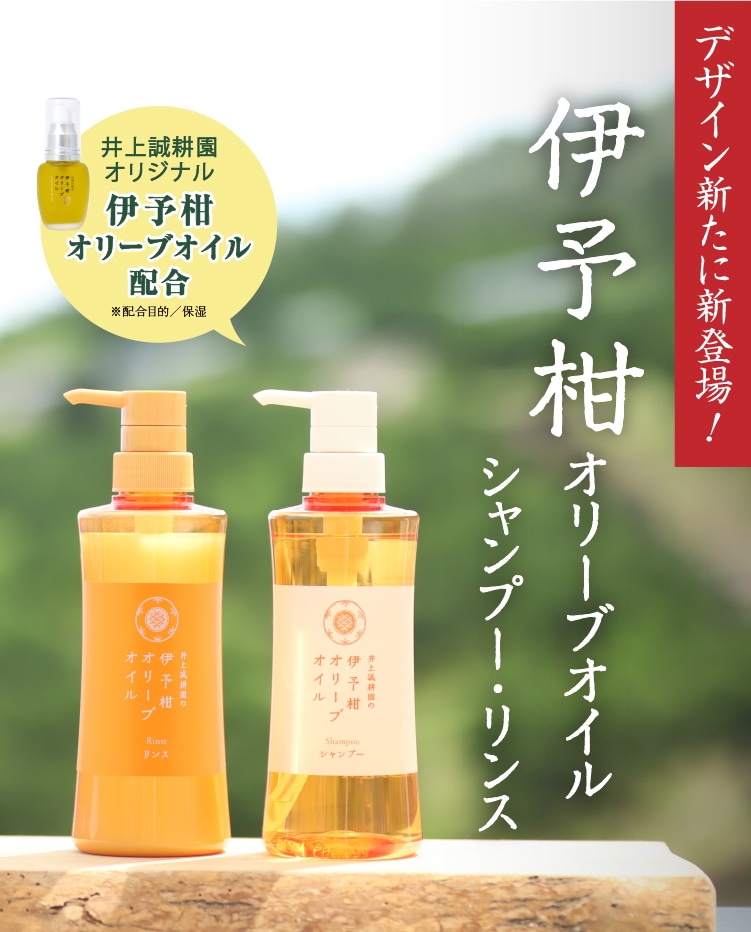 売切☆ATPLON コジコジ限定本体・オイルボディソープとオイルジェリー