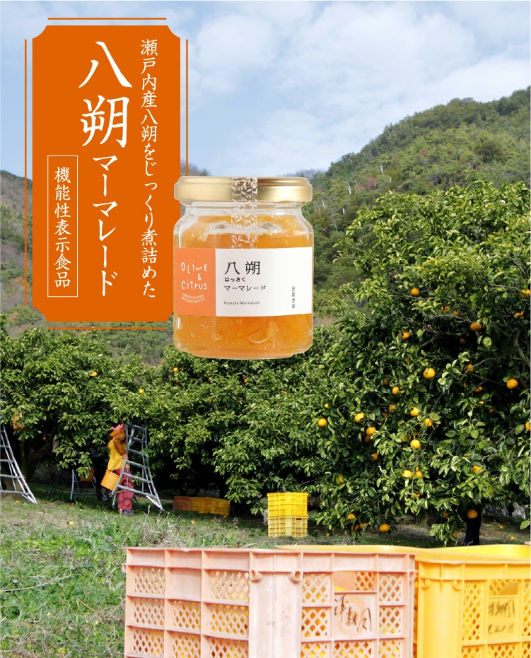 八朔マーマレード | 井上誠耕園