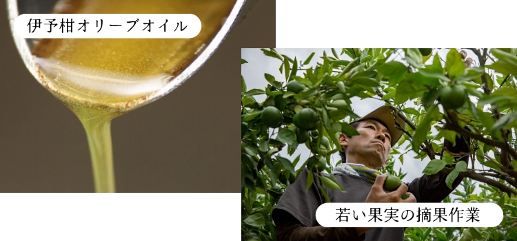 美顔ジェル | 井上誠耕園