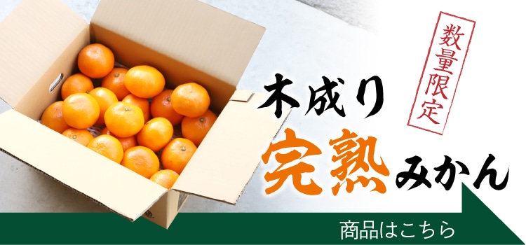 瞳みかん | 井上誠耕園