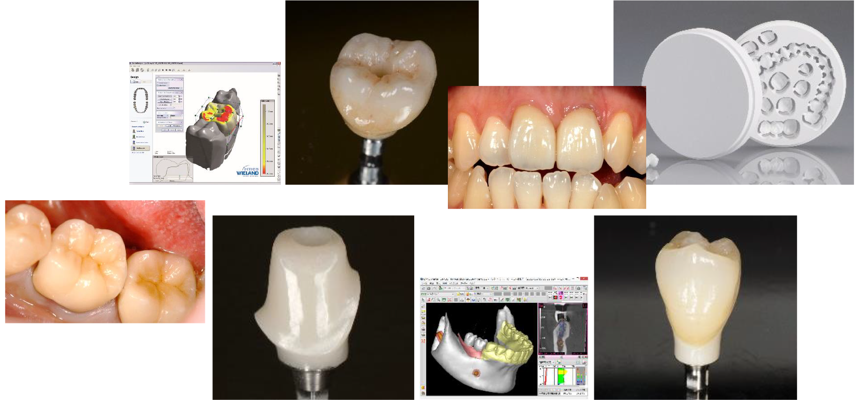 Landmark Crown ＜ランドマーククラウン＞ - 株式会社アイキャット