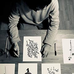 coricci コリッチ｜IDEE SHOP Online