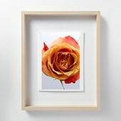 定番品】山口一郎 「HANA-green」｜ポスター｜IDEE SHOP Online