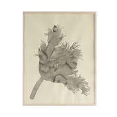 在庫限り】 山口一郎 「HANA-head-gold」｜これまでに販売した商品