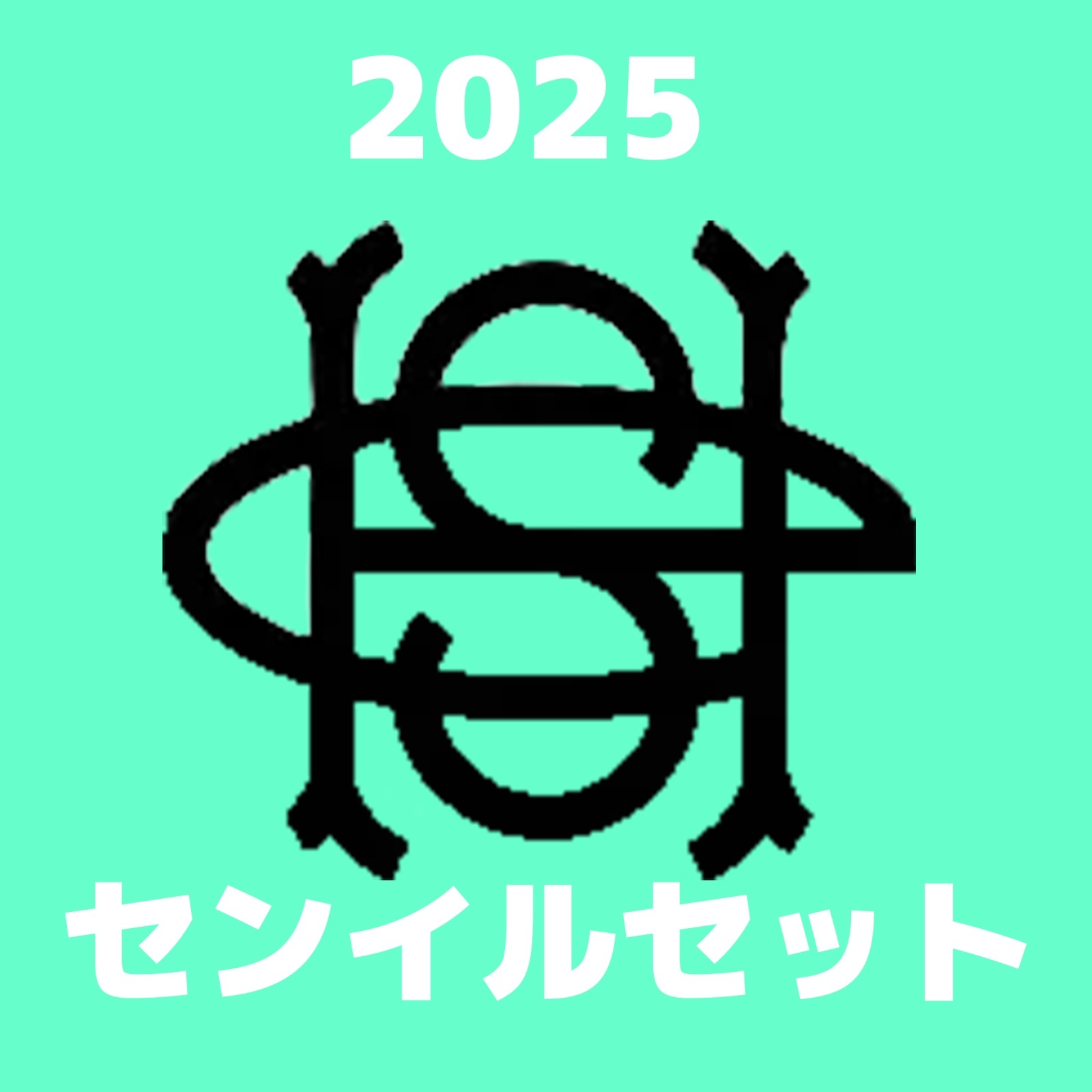 2025 SHINee センイル/デビュー記念/来日セット クレカ風カード - I