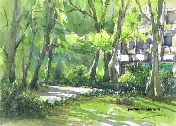 五十嵐吉彦の水彩画