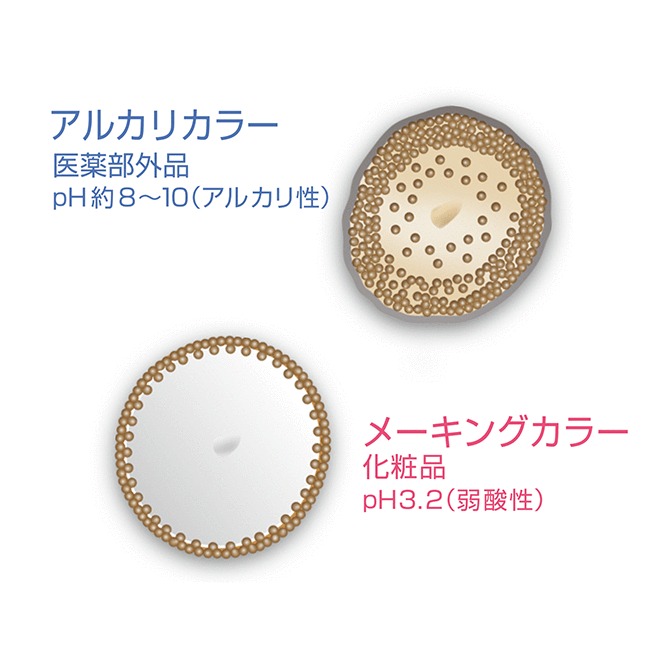 ベル・ジュバンス ビューティーシステム | 株式会社 山﨑伊久江美容室