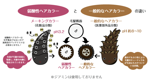 弱酸性ヘアカラー | 株式会社 山﨑伊久江美容室｜ベルジュバンス弱酸性