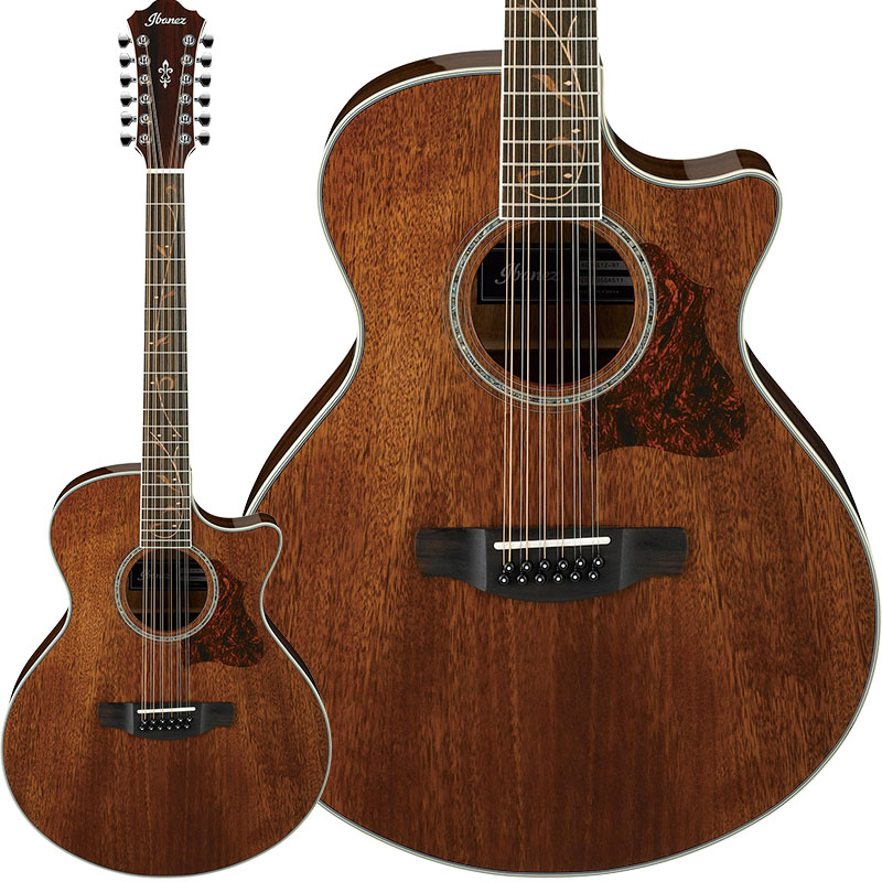 Ibanez】新たに7種のアコースティックギターが登場！ | イケベ新製品情報
