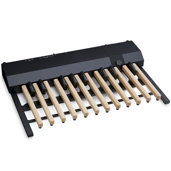 HAMMOND XPK-200GL【音源内蔵ペダルキーボード】 ｜イケベ楽器店