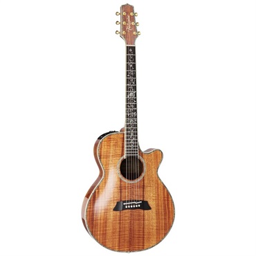 TAKAMINE DMP500 VTS 【お取り寄せ商品】 タカミネ ｜イケベ楽器店