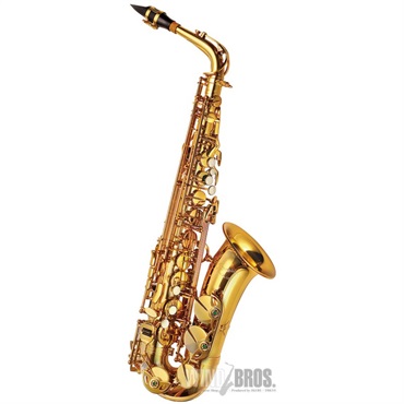 その他ブランド(管楽器・吹奏楽器) Paul Mauriat アルトサックス P