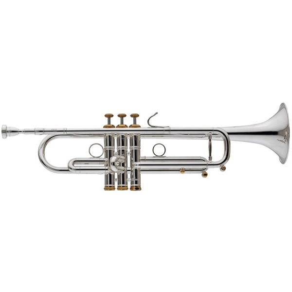 Stomvi ストンビ / V-Raptor II DA36 S 【Bb トランペット】【出荷前