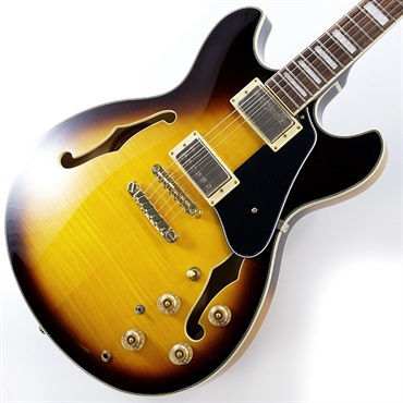 Ibanez JSM10EM-TTB (Two-tone Burst) [John Scofield Model] [SPOT