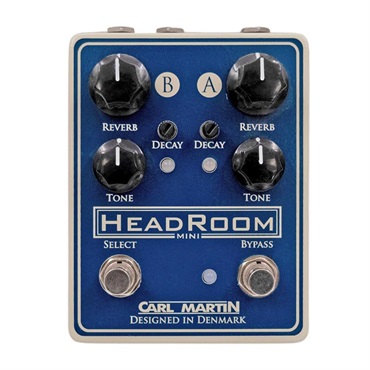 CARL MARTIN PLEXITONE SINGLE CHANNEL / LO-GAIN（カールマーティン