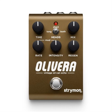 strymon 【WEB限定在庫処分セール】 BRIG [dBucket Delay]（ストライ