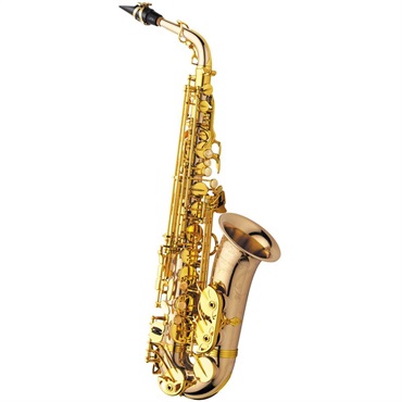 YANAGISAWA テナーサックス ヤナギサワ T-WO2 【調整&セットアップ後