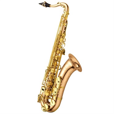 YANAGISAWA アルトサックス ヤナギサワ A-WO20 【調整&セットアップ後