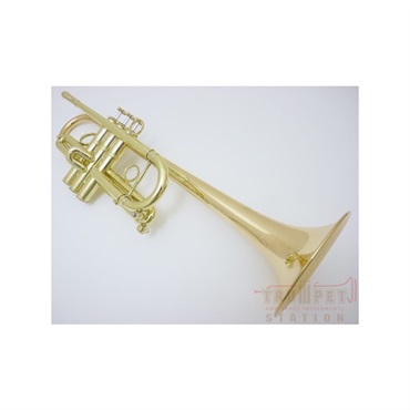 CAROL BRASS 【新楽器応援セール】キャロルブラス / N4000 GB 【C