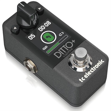 tc electronic DITTO+ ※国内正規品（ティーシーエレクトロニック