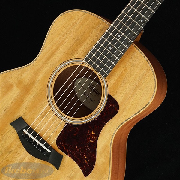 TAYLOR GS Mini Mahogany ｜イケベ楽器店オンラインストア
