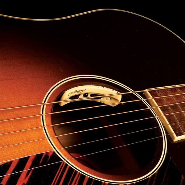 L.R.Baggs Anthem [Acoustic Guitar Pickup + Microphone] ｜イケベ