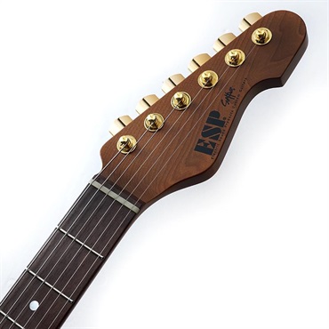 ESP Experimental Series SNAPPER-AS Driftwood Natural w/Black