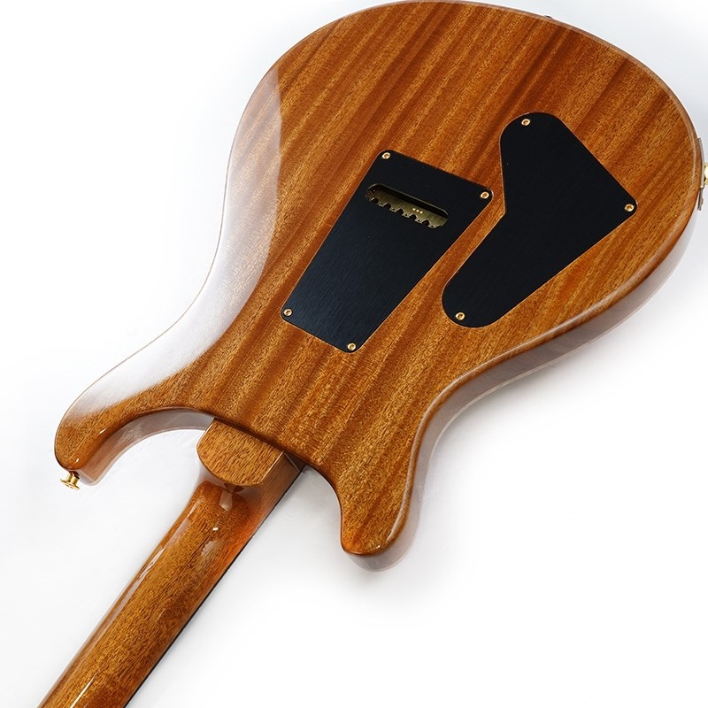 P.R.S. 【「THE IKEBE PRS VAULT」オープン記念キャンペーン】 Ikebe