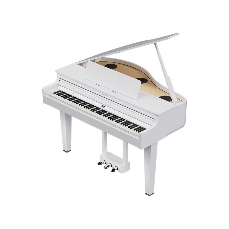 Roland 【4月上旬以降据付予定】GP-6-PWS(10年保証)(数量限定豪華特典