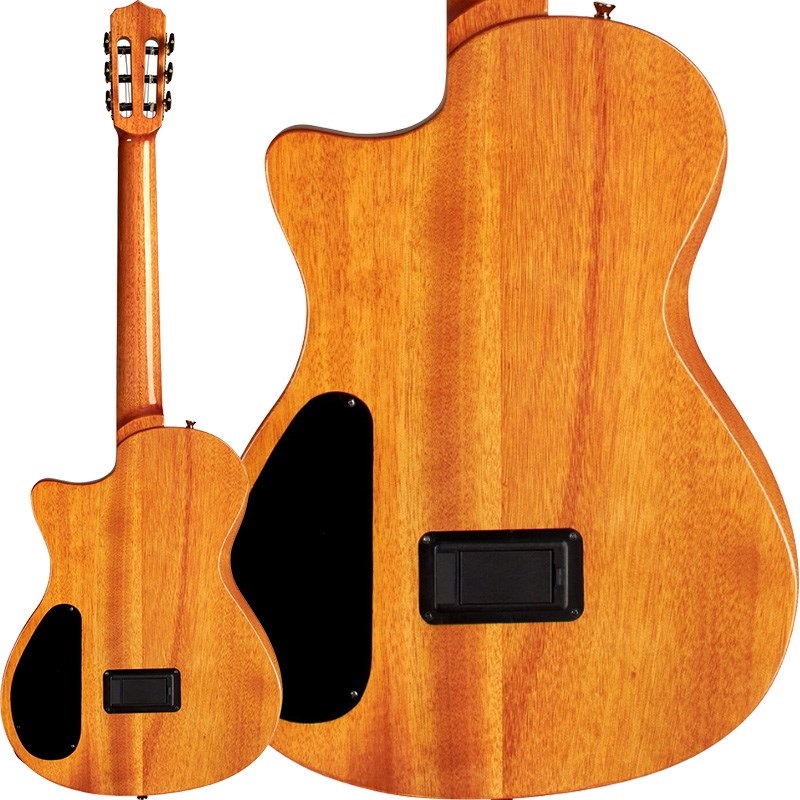 Cordoba STAGE GUITAR (Edge Burst) コルドバ ｜イケベ楽器店