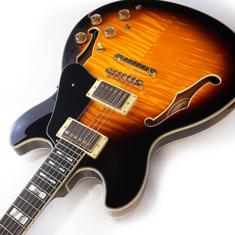 Ibanez JSM10-VYS [John Scofield Model] ｜イケベ楽器店オンラインストア
