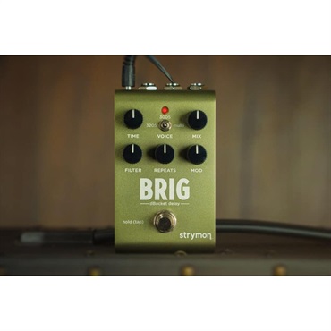 strymon 【WEB限定在庫処分セール】 BRIG [dBucket Delay]（ストライ