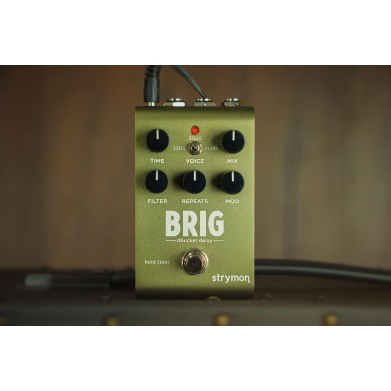 strymon 【WEB限定在庫処分セール】 BRIG [dBucket Delay]（ストライ