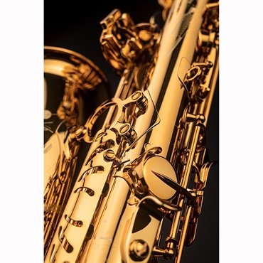 Selmer Paris アルトサックス セルマー Signature シグネチャー DARK