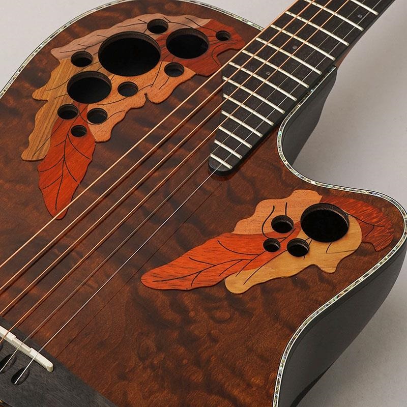 OVATION 【新楽器応援セール】【数量限定特価】Celebrity Elite Exotic