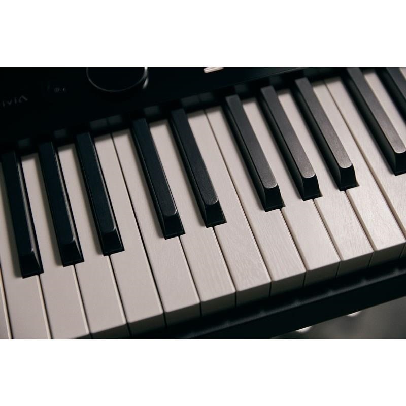 CASIO 【キャッシュバックキャンペーン実施中！】【配送設置専用ページ