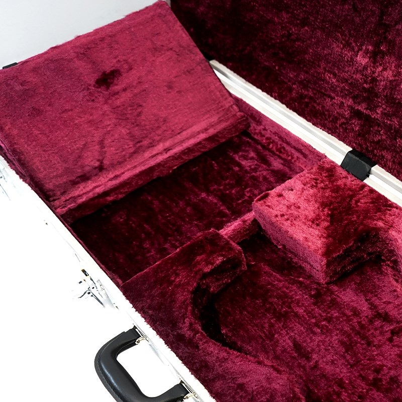 EVO EVO専用ハードケース NEW！ ｜イケベ楽器店オンラインストア