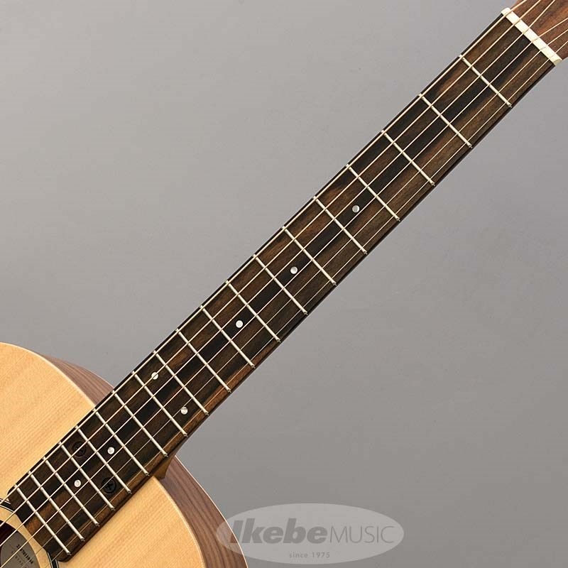 TAYLOR Baby Taylor-e (BT1e) テイラー ｜イケベ楽器店オンラインストア