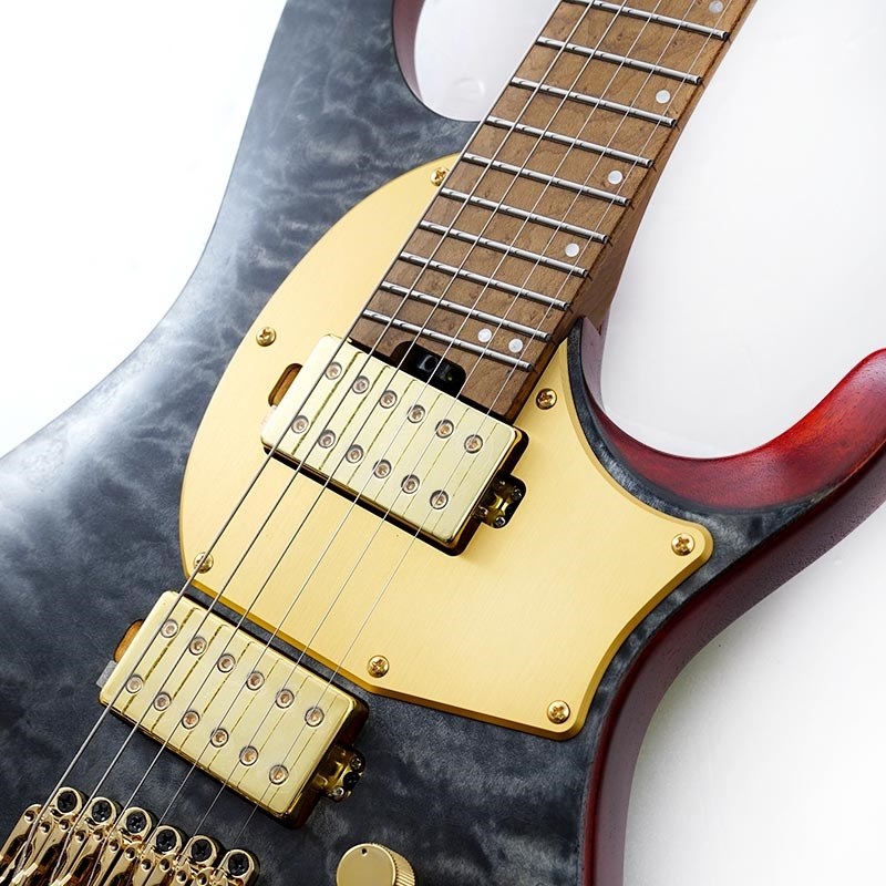 Ibanez MGFM10-OBL (Obsidian Black Low Gloss) [Manuel Gardner