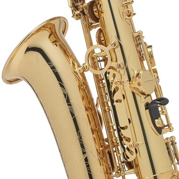 Selmer Paris 【チョイキズ特価!!】【中村誠一氏選定品】アルト