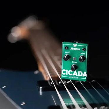 olinthus CICADA（オーバードライブ） ｜イケベ楽器店オンラインストア