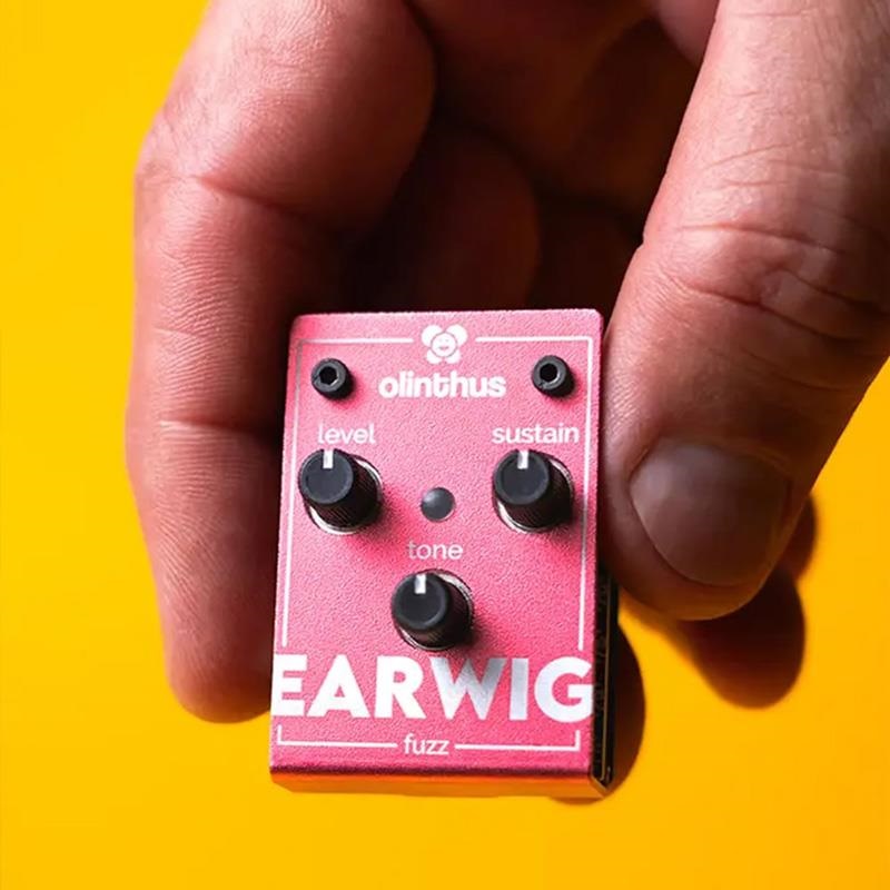 olinthus EARWIG（ファズ） ｜イケベ楽器店オンラインストア